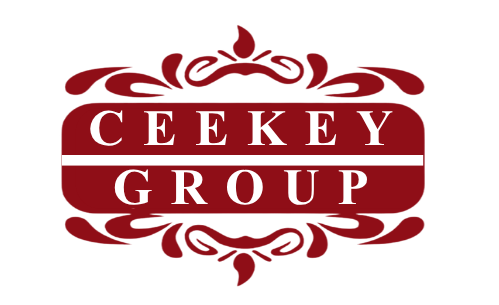 ceekey group logo